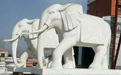 石雕大象適合擺放在哪里？